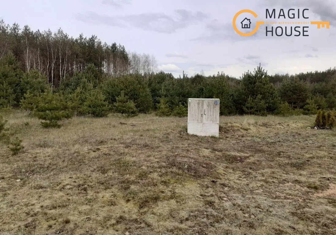 Działka 42 000 m² | WZ na 16 domów | las | Przewóz - Ansicht 5