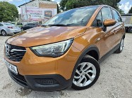 Opel Inny Opel Super stan*Head Up* Kamera* Navi