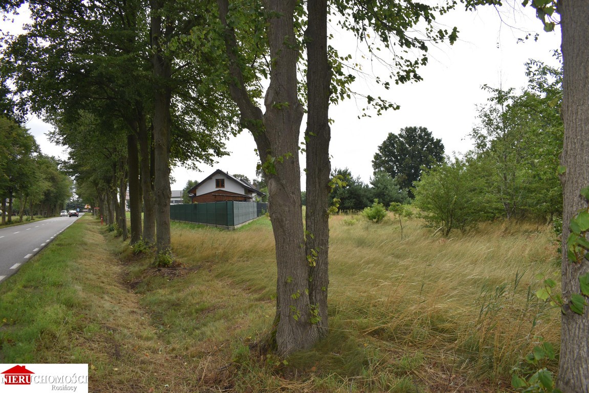 Działka Ruda /Radzymin ul. Główna - Widok 2
