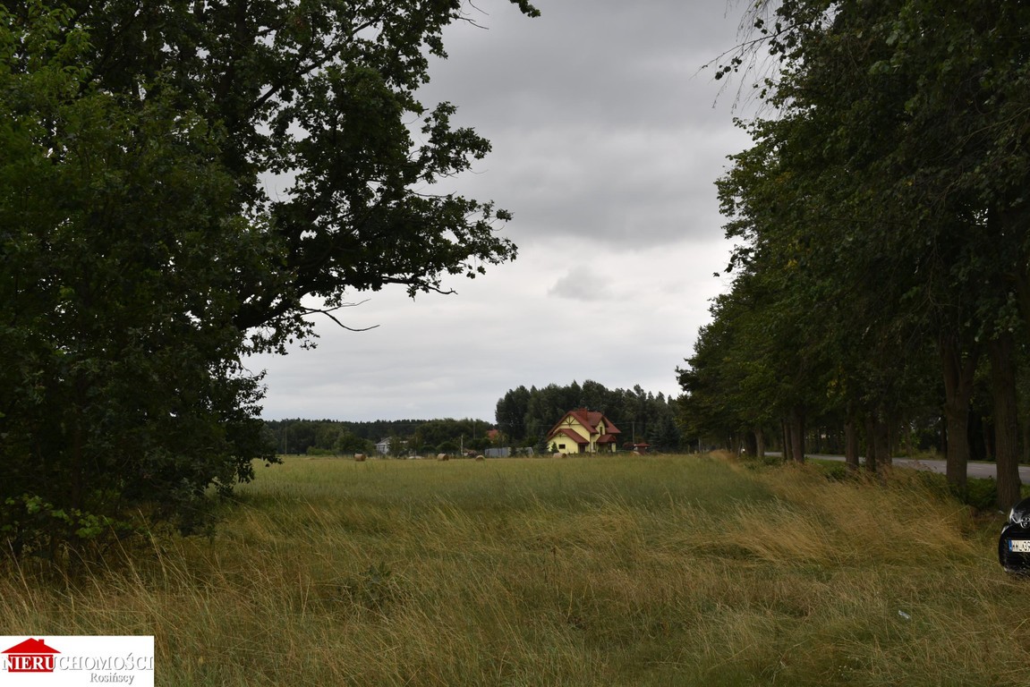 Działka Ruda /Radzymin ul. Główna - Widok 5