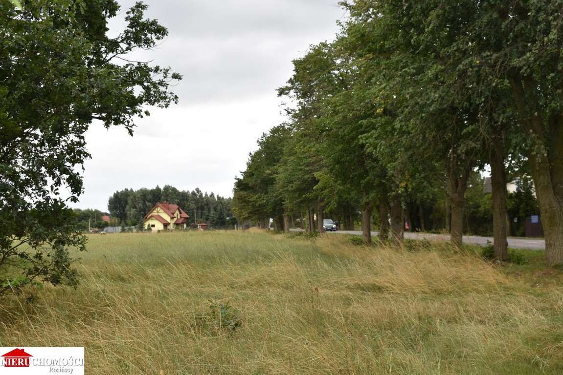 Działka Ruda /Radzymin ul. Główna - Widok 6