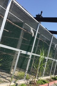 Ary, Kakadu, hodowla papug Park Papug Krków-2