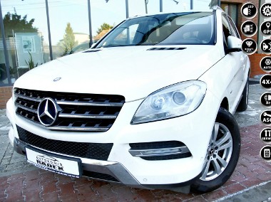 Mercedes-Benz Klasa ML W166 Navi|Tempomat|Pół Skóry|4Matic|BiXenon| Serwisowany| Zarejestrowany|-1