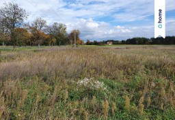 Działka rolna Wilków, ul. Jarzębinowa