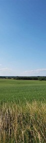 Grynty rolne w gminie Grzmiąca, Mieszałki-4