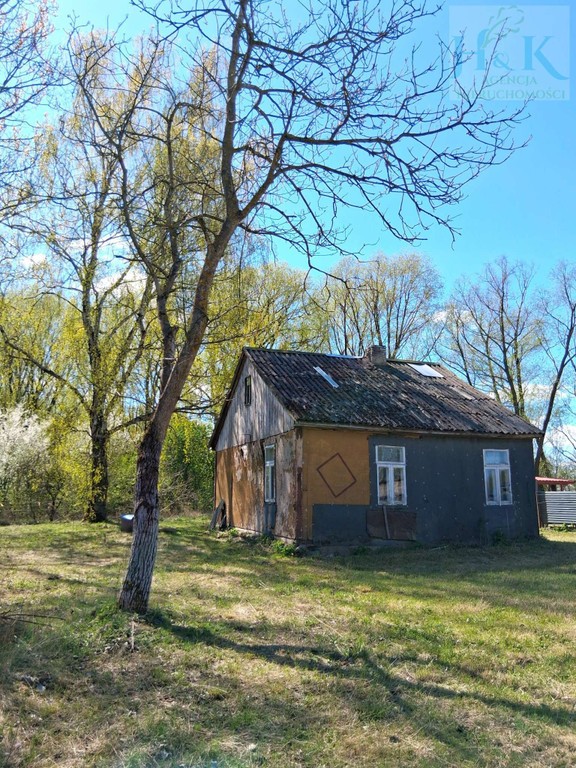 Wojnów — miejsce, gdzie czas zwalnia, a las opowiada własne historie, siedlecki
