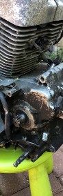KOmpletny silnik Yamaha Virago 125-3