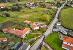 Dom Viana Do Castelo