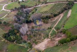 Działka inna Alcobaça E Vestiaria