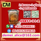  Manufacturer Supply Raw Material CAS 49851-31-2 2-Bromo-1-phenyl-1-pentanone