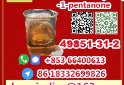  Manufacturer Supply Raw Material CAS 49851-31-2 2-Bromo-1-phenyl-1-pentanone