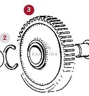 Fendt Favorit 514 Koło Zębate Walcowe CZĘŚCI 246105320200