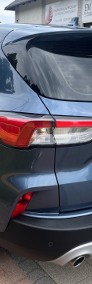 1,5TDCI-120KM Zarejestrowany, Asystent Odległości, CarPlay, Hak...-3