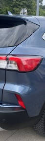 1,5TDCI-120KM Zarejestrowany, Asystent Odległości, CarPlay, Hak...-4