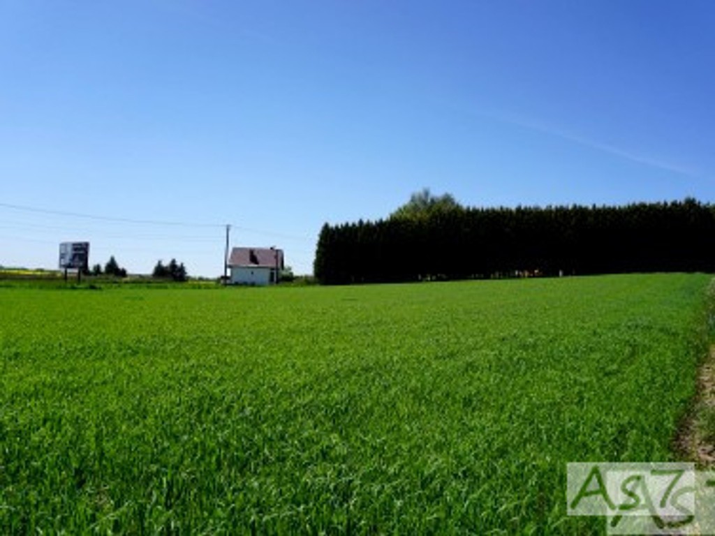 Działka uzbrojona Piekary - Widok 2