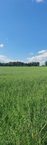 Grynty rolne w gminie Grzmiąca, Mieszałki-3