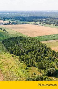 Enklawa wśród drzew, pól i łąk. Ruda-Bugaj!-2