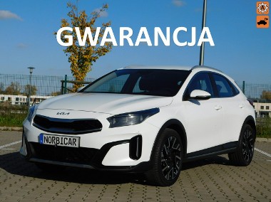 Kia Xceed 1.6CRDi z Gwarancja-1
