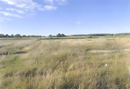 Syndyk sprzeda 1/2 udziału Nieruchomości w Radosławiu