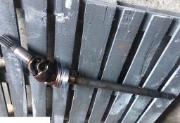 Półoś - Dana Spicer