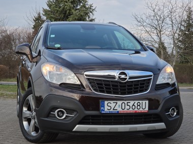 1.7 CDTI 130 kM GrzanaKierownica/BrązoweSkóry/Kamera/Hak-1