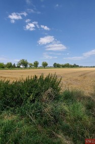 GRUNT SIEDLISKOWY W LIGOCIE WIELKIEJ, OLEŚNICA-3