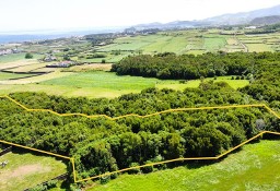 Działka inna Ilha De São Miguel, Pico Da Pedra