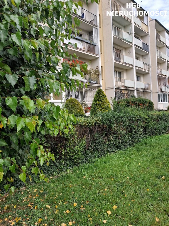 Mieszkanie do wynajęcia, 53 m² Żabianka, Szyprów