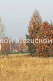 Działka rolna Skierniewice Borowiny-2