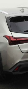 Lexus UX 300h Business 2.0 Hybrid Dynamic Force 300h Business 2.0 Hybrid Dynamic-3