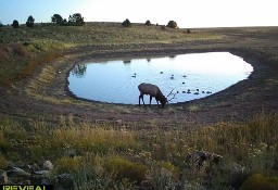 Działka inna Monticello