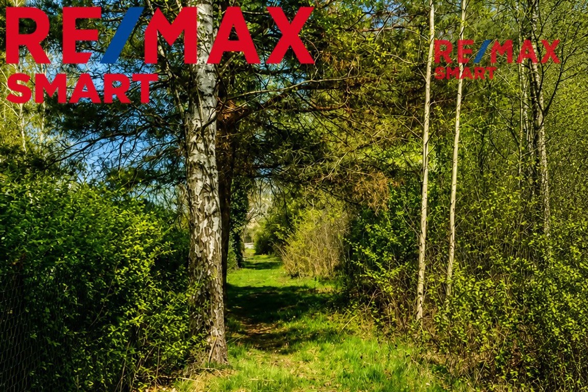 WYJĄTKOWA DZIAŁKA Z WZ 3204 m² | GRABÓW NAD PILICĄ - Widok 6
