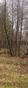 Działka leśna blisko jeziora Kamieniczno-3