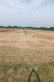 SPRZEDAM DZIAŁKĘ ROLNĄ Z MOŻLIWOŚCIĄ WYSTĄPIENIA O WARUNKI ZABUDOWY-POW. 3000m²-2