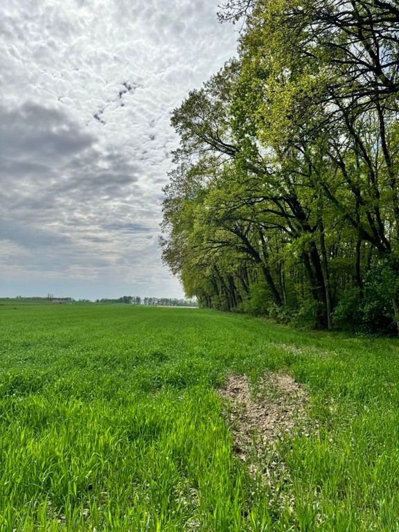Grunt na sprzedaż, Wola Pasikońska, 1041.00 m², Wola Pasikońskamazowieckie