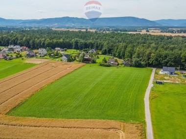 NA SPRZEDAŻ DZIAŁKA NIDEK-1