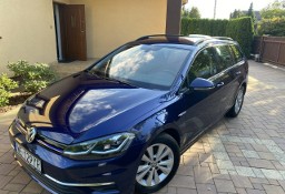 Volkswagen Golf VIII I Wł, Krajowy, BEZWYPADKOWY 100%, Comfortline, Full Led, Szyba grzan