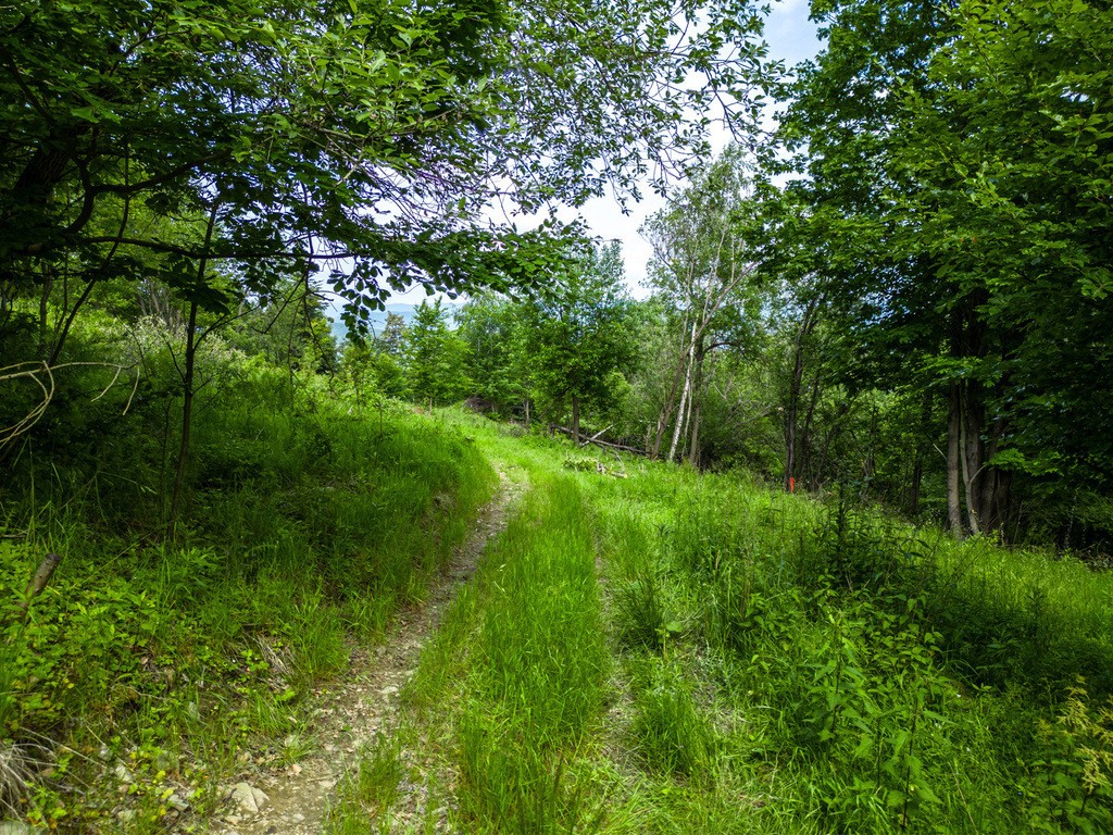 Stryszawa | teren inwestycyjny 1,22 ha | 63 ar MN! - Widok 5