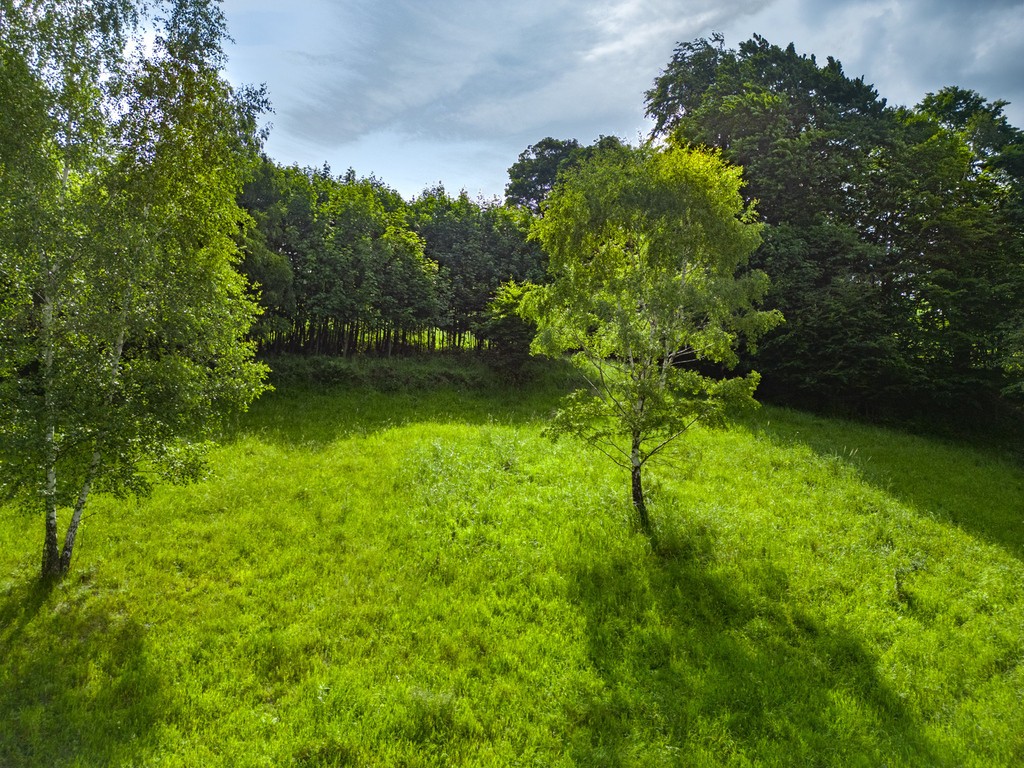 Stryszawa | teren inwestycyjny 1,22 ha | 63 ar MN! - Widok 6