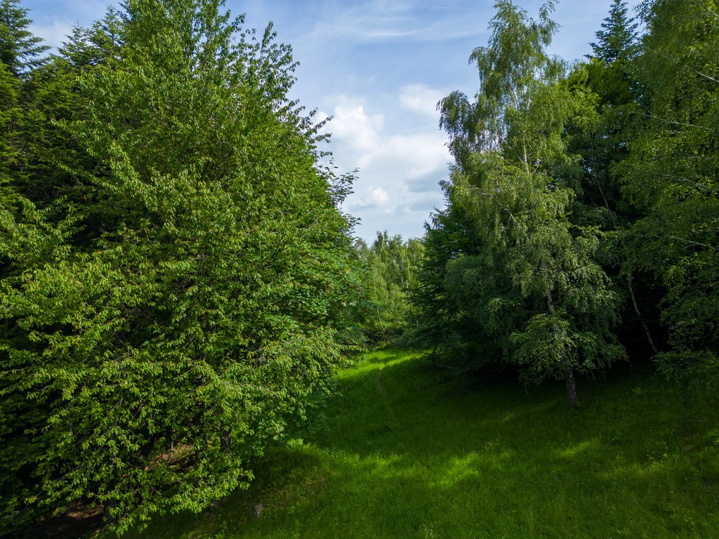 Stryszawa | teren inwestycyjny 1,22 ha | 63 ar MN! - Więcej
