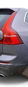 Volvo XC60 II T6 Business Executive T6 Business Executive / Plug In / 1 właściciel-3