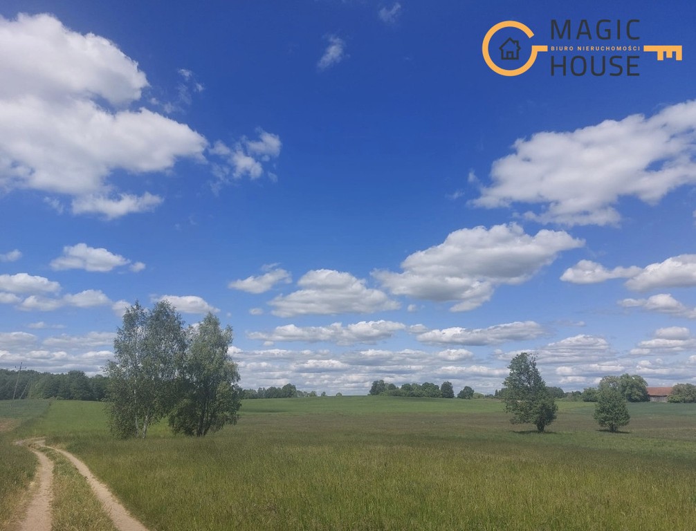 Działka inwestycyjna 15 ha | WZ | Mazury 30 minut - Widok 5