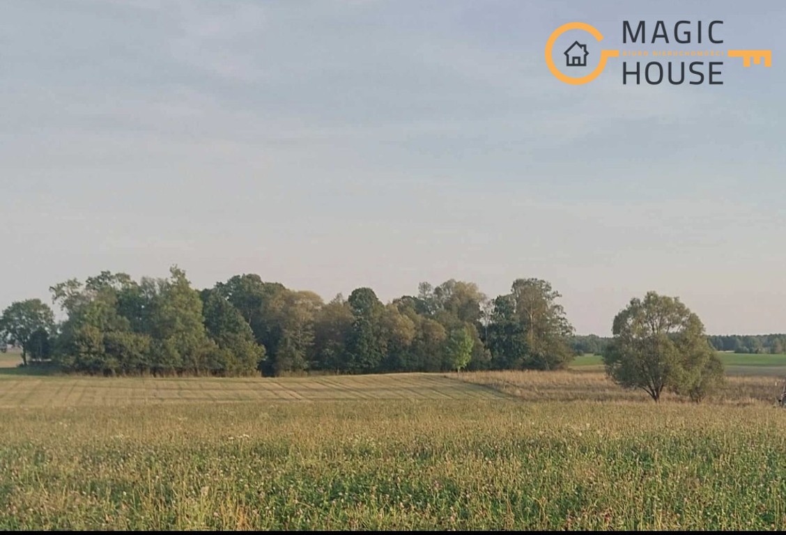 Działka inwestycyjna 15 ha | WZ | Mazury 30 minut - Więcej
