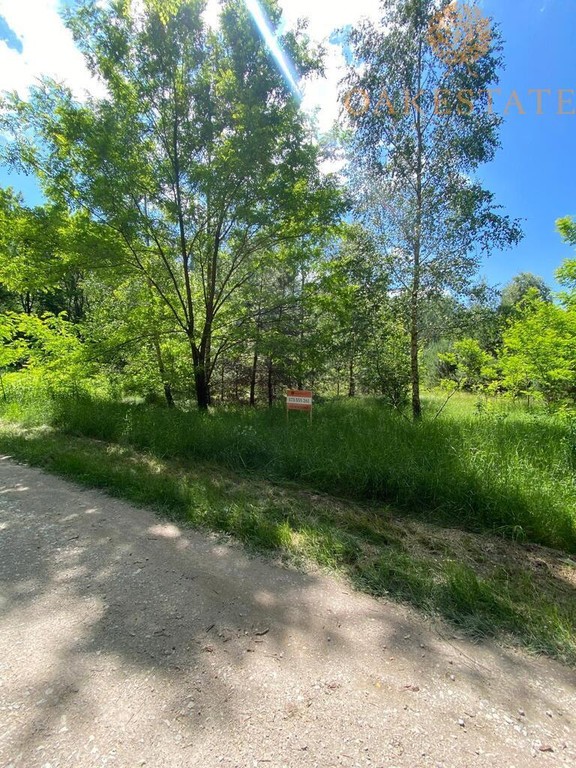 Działka na sprzedaż, 3000 m², Nagłowice Warzyn Drugi - Widok 2