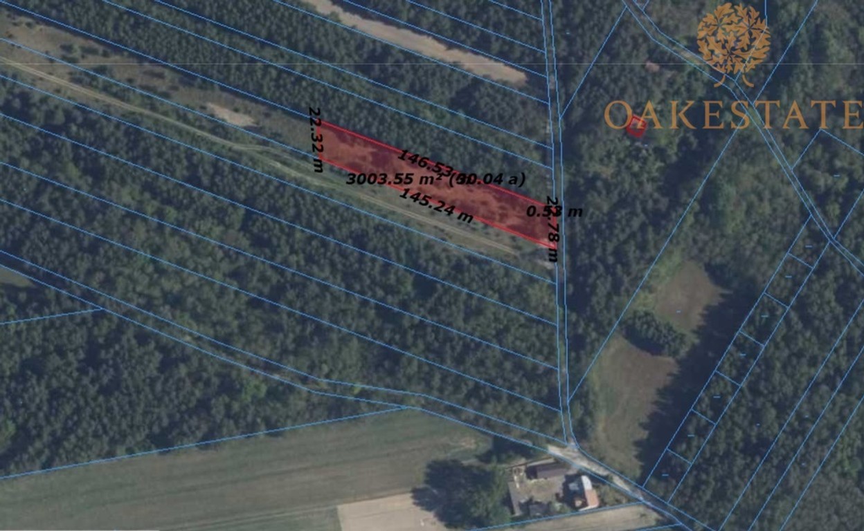Działka na sprzedaż, 3000 m², Nagłowice Warzyn Drugi - Widok 5