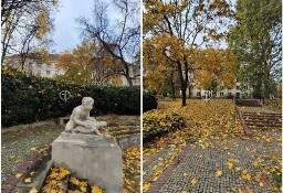 Mieszkanie Warszawa Śródmieście, ul. Chopina