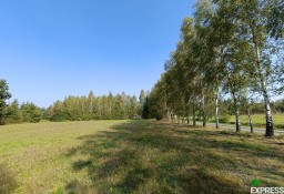 Działka rolna Celinów, ul. Polnych Kwiatów