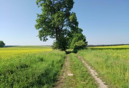 Działka rolna Gostomia