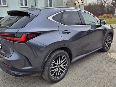 LEXUS NX350H omotenahi HYBRYDA-1