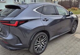 Lexus NX 350H omotenahi HYBRYDA